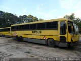 Viação Itapemirim 24083 na cidade de Cachoeiro de Itapemirim, Espírito Santo, Brasil, por Robert Feres Tompsom Machado. Número da foto: #2697410.