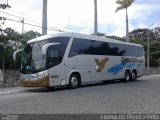 Águia Dourada 2039 na cidade de Caruaru, Pernambuco, Brasil, por Leon Oliver. Número da foto: #2745577.
