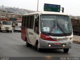 Rouxinol 868 na cidade de Belo Horizonte, Minas Gerais, Brasil, por Adão Raimundo Marcelino. Número da foto: #2746039.