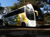 Torrescar Transportes e Turismo 443 na cidade de Santa Maria, Rio Grande do Sul, Brasil, por Cleverton Schmitt. Número da foto: #2744666.