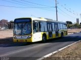 Viação Pioneira 223930 na cidade de Santa Maria, Distrito Federal, Brasil, por Ronan dos Reis. Número da foto: #2745512.