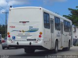 Empresa São Francisco 7304 na cidade de Maceió, Alagoas, Brasil, por Thiago Alex. Número da foto: #:id.