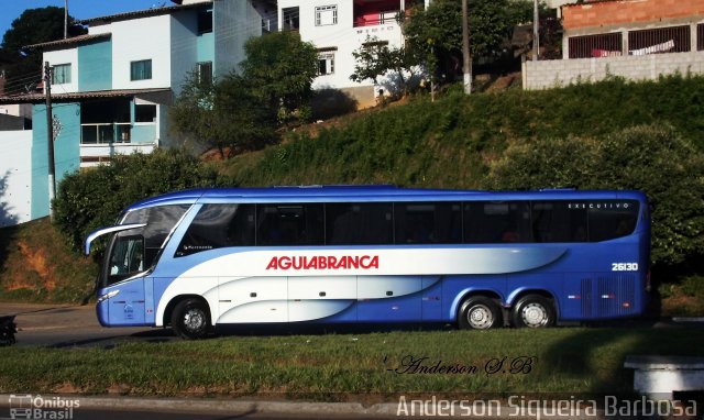 Viação Águia Branca 26130 na cidade de João Neiva, Espírito Santo, Brasil, por Anderson Siqueira Barbosa. ID da foto: 2766681.