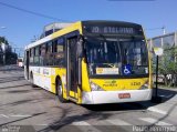 VIP - Unidade AE Carvalho 3 2341 na cidade de São Paulo, São Paulo, Brasil, por Paulo Henrique. Número da foto: #2766655.