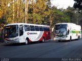 Rouxinol 353 na cidade de Belo Horizonte, Minas Gerais, Brasil, por Adão Raimundo Marcelino. Número da foto: #2767167.