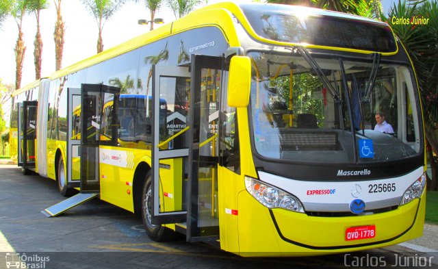 Viação Pioneira 225665 na cidade de Brasília, Distrito Federal, Brasil, por Carlos Júnior. Número da foto: #2768321.