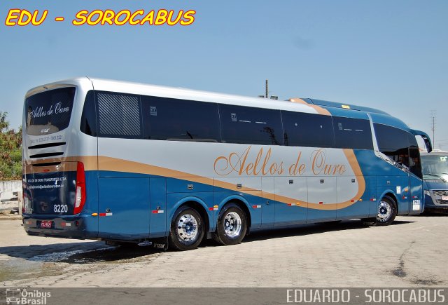Bia Turismo > Aellos de Ouro 8220 na cidade de Sorocaba, São Paulo, Brasil, por EDUARDO - SOROCABUS. Número da foto: #2771303.