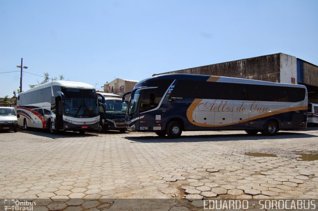 Bia Turismo > Aellos de Ouro 8214 na cidade de Sorocaba, São Paulo, Brasil, por EDUARDO - SOROCABUS. Número da foto: #2772542.