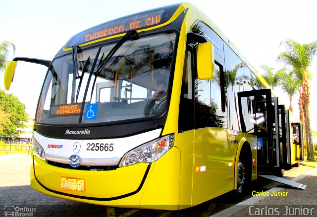 Viação Pioneira 225665 na cidade de Brasília, Distrito Federal, Brasil, por Carlos Júnior. Número da foto: #2777417.