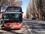 Chilebus Internacional 223 na cidade de , por Robyson Garcia. Número da foto: #2779790.