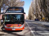 Chilebus Internacional 223 na cidade de , por Robyson Garcia. ID da foto: :id.