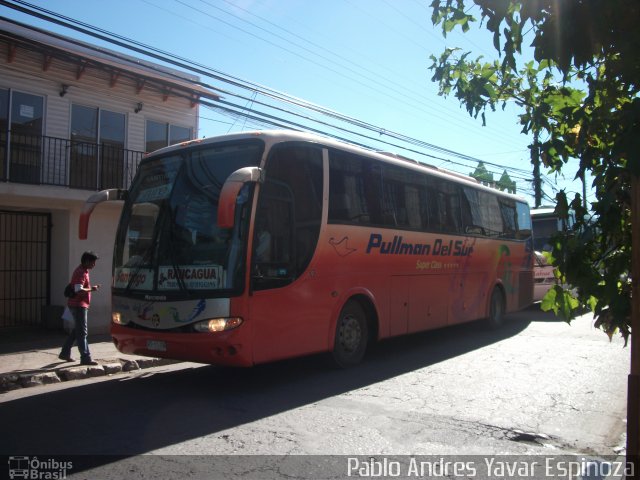 Pullman del Sur 38 na cidade de Santa Cruz, Colchagua, Libertador General Bernardo O'Higgins, Chile, por Pablo Andres Yavar Espinoza. Número da foto: #2781878.