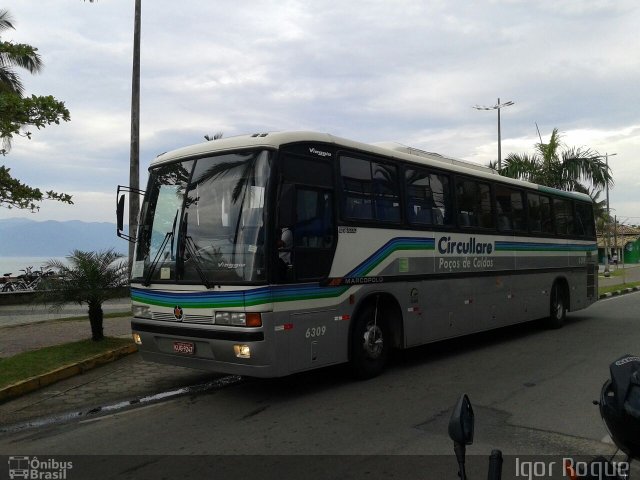 Auto Omnibus Circullare 6309 na cidade de Caraguatatuba, São Paulo, Brasil, por Gabriel D` Arque  Martins. Número da foto: #2786755.