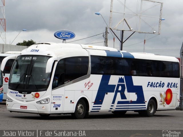 Falcão Real 23140 na cidade de Feira de Santana, Bahia, Brasil, por João Victor. Número da foto: #2785554.