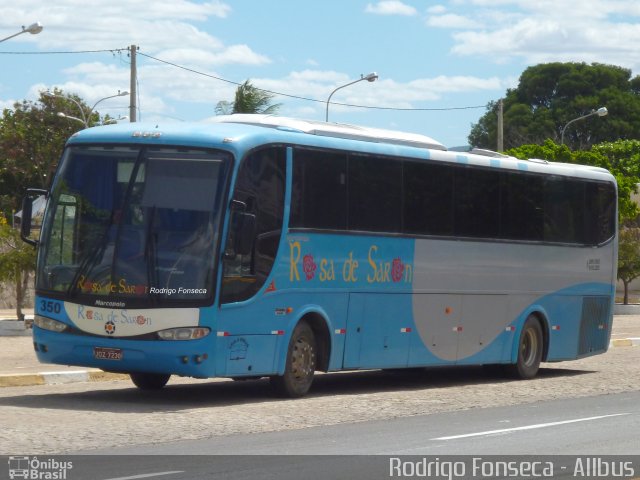 Rosa de Saron 350 na cidade de Paulo Afonso, Bahia, Brasil, por Rodrigo Fonseca. Número da foto: #2794914.