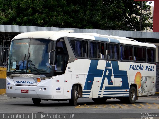 Falcão Real 1180 na cidade de Feira de Santana, Bahia, Brasil, por João Victor. Número da foto: #2798186.