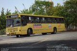Prefeitura Municipal de Agudos 253 na cidade de Agudos, São Paulo, Brasil, por Adriano Moraes dos Reis. Número da foto: #2797844.