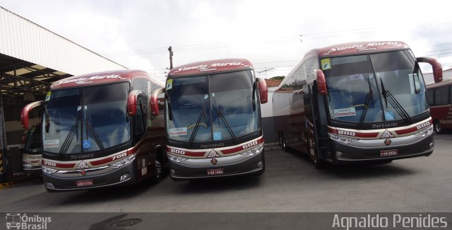 Santa Maria Fretamento e Turismo > Transportes Santa Maria(SP) 600 na cidade de São Bernardo do Campo, São Paulo, Brasil, por Agnaldo Penides. Número da foto: #2799463.