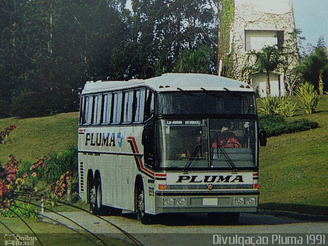 Pluma Conforto e Turismo 8919 na cidade de Curitiba, Paraná, Brasil, por Fabio Alcantara. Número da foto: #2798344.