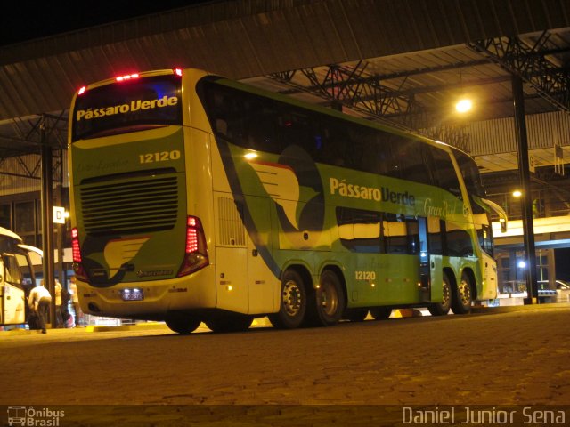 Pássaro Verde 12120 na cidade de Itabirito, Minas Gerais, Brasil, por Daniel Junior Sena. Número da foto: #2800130.