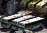 Cia. São Geraldo de Viação 21650 na cidade de Belo Horizonte, Minas Gerais, Brasil, por Maurício Nascimento. Número da foto: #:id.
