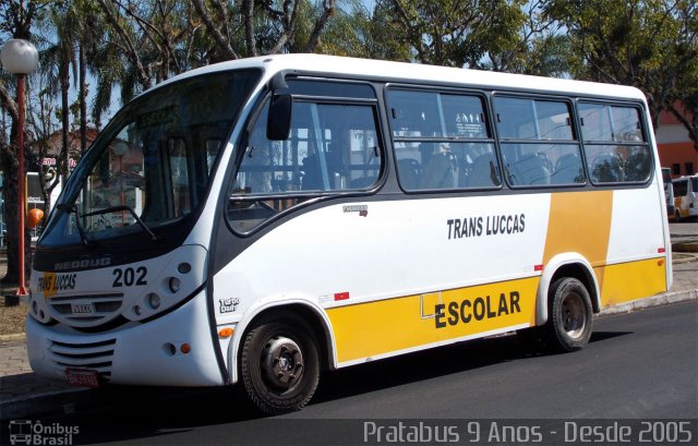 Trans Luccas 202 na cidade de Garça, São Paulo, Brasil, por Cristiano Soares da Silva. Número da foto: #2750325.