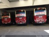 Santa Maria Fretamento e Turismo > Transportes Santa Maria(SP) 900 na cidade de São Bernardo do Campo, São Paulo, Brasil, por Agnaldo Penides. Número da foto: #2750715.