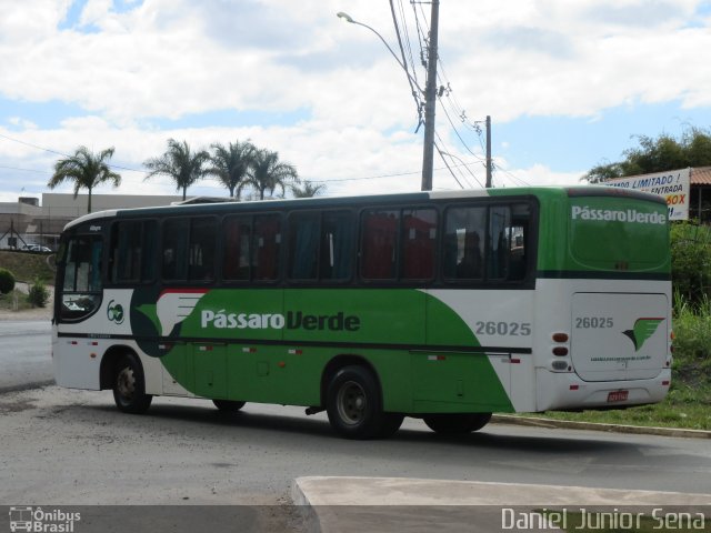 Pássaro Verde 26025 na cidade de Ouro Preto, Minas Gerais, Brasil, por Daniel Junior Sena. Número da foto: #2754205.