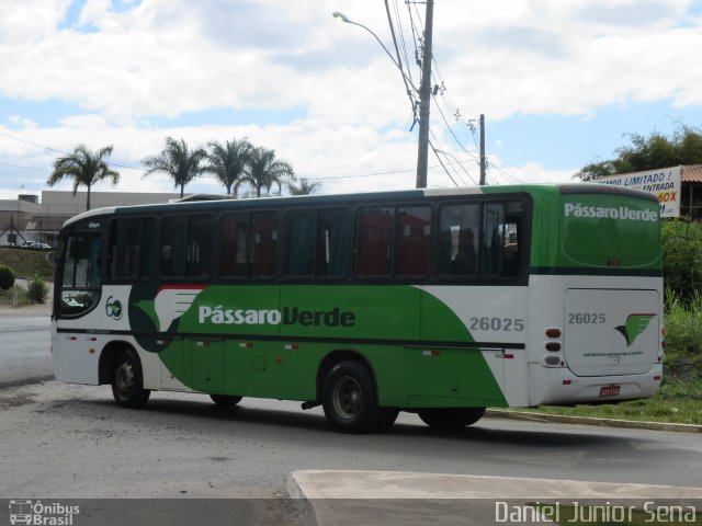 Pássaro Verde 26025 na cidade de Ouro Preto, Minas Gerais, Brasil, por Daniel Junior Sena. ID da foto: 2754205.