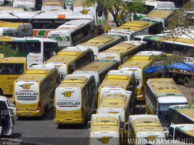 Empresa Gontijo de Transportes 11705 na cidade de Belo Horizonte, Minas Gerais, Brasil, por Maurício Nascimento. Número da foto: #2757424.