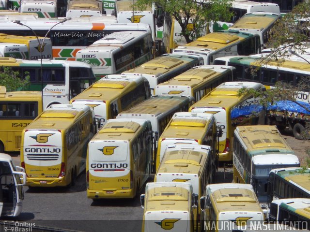 Empresa Gontijo de Transportes 11705 na cidade de Belo Horizonte, Minas Gerais, Brasil, por Maurício Nascimento. ID da foto: 2757424.