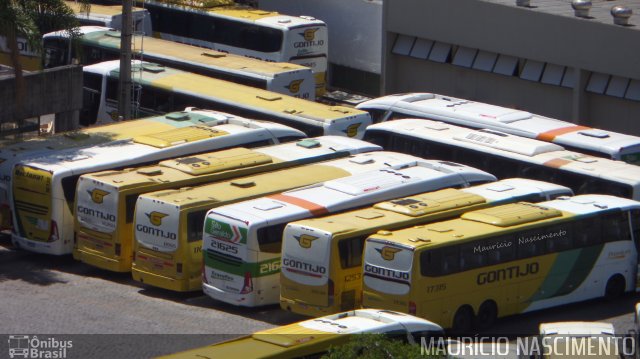 Empresa Gontijo de Transportes 11055 na cidade de Belo Horizonte, Minas Gerais, Brasil, por Maurício Nascimento. ID da foto: 2757598.