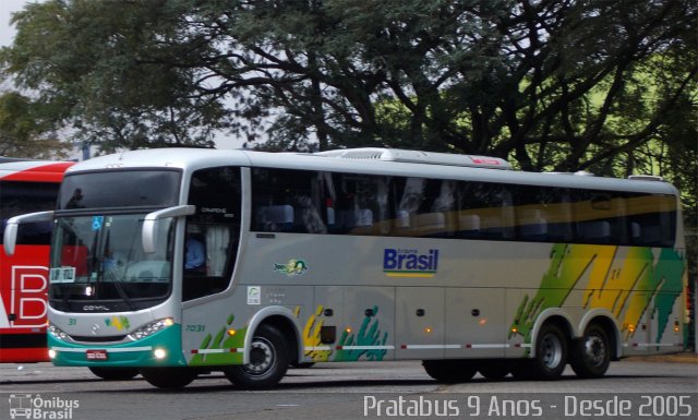 Trans Brasil > TCB - Transporte Coletivo Brasil 7031 na cidade de São Paulo, São Paulo, Brasil, por Cristiano Soares da Silva. Número da foto: #2757307.