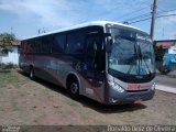 Viação Santa Cruz 256110 na cidade de Limeira, São Paulo, Brasil, por Ronaldo Diniz de Oliveira. Número da foto: #:id.